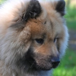 Эволюция программ лояльности казино без депозита в цифровую эпоху