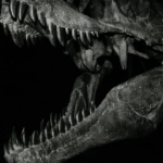 Эволюция игровых практик от древности до современности