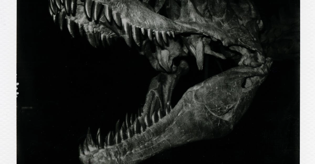 Эволюция игровых практик от древности до современности