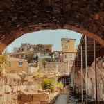 Археологические находки древних семян перца чили из доколумбовых культур