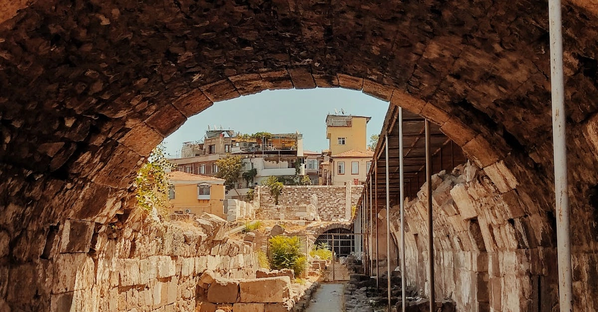 Археологические находки древних семян перца чили из доколумбовых культур