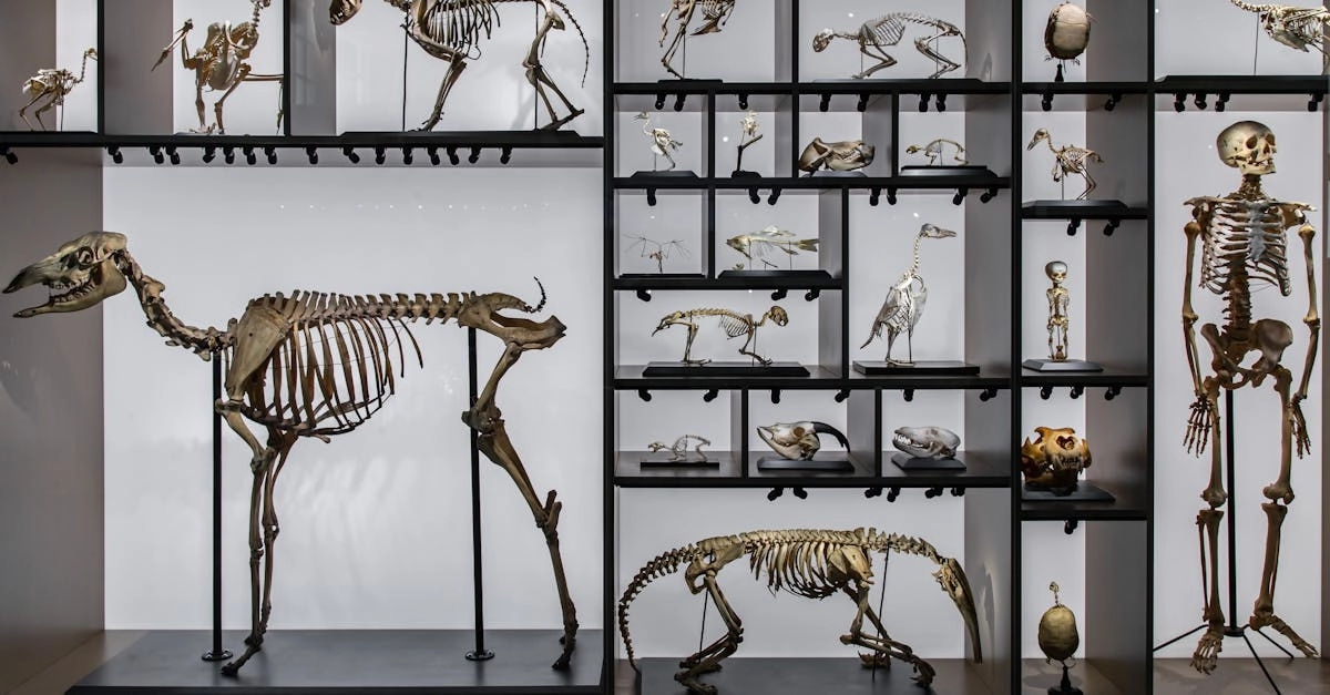 Палеонтологические мотивы в современных играх и их образовательное значение