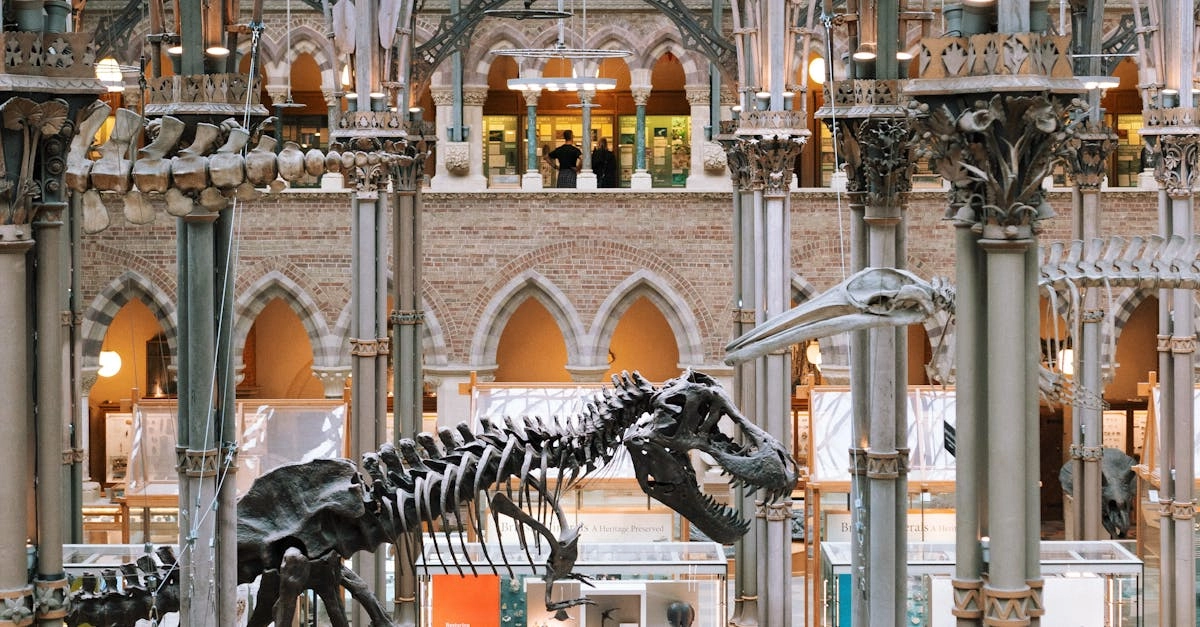 Палеонтологические находки древних собак в археологическом контексте